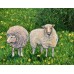“Sheep in the Field” – Original Painting by Marina Stognieva “Sheep in the Field” – Original Painting by Marina Stognieva